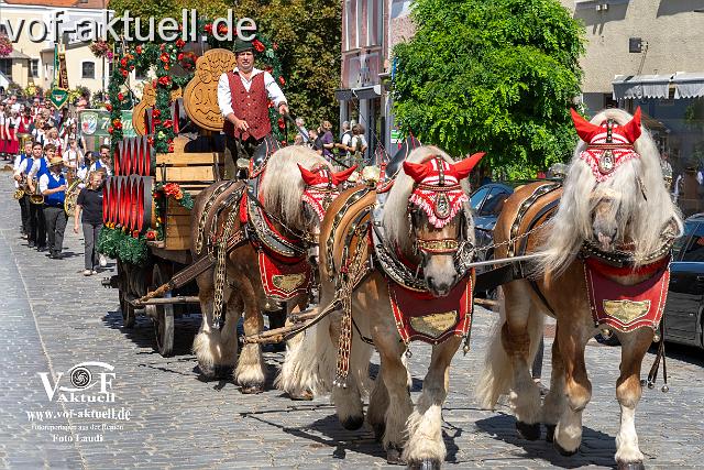 Foto Laudi_ Volksfestzug-14.jpg